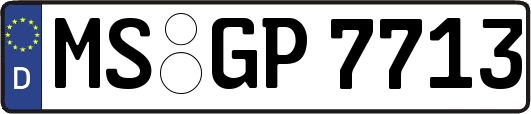 MS-GP7713