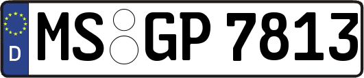 MS-GP7813