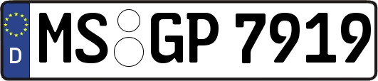 MS-GP7919