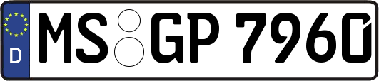 MS-GP7960