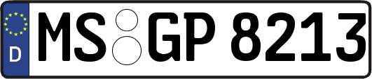 MS-GP8213