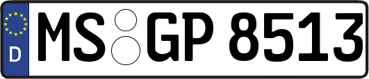 MS-GP8513