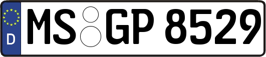 MS-GP8529