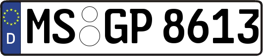 MS-GP8613