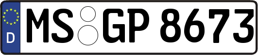 MS-GP8673