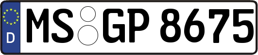 MS-GP8675