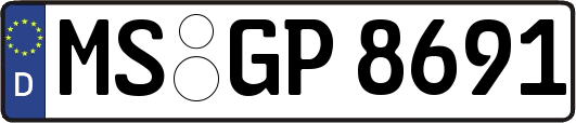 MS-GP8691