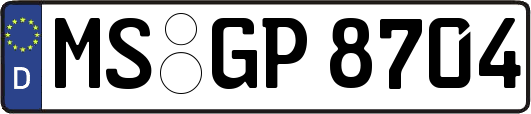 MS-GP8704