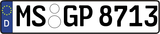 MS-GP8713