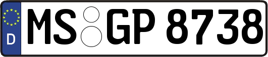 MS-GP8738