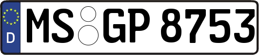 MS-GP8753
