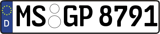 MS-GP8791