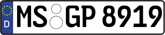 MS-GP8919