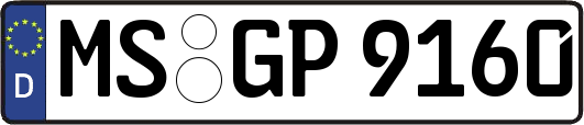MS-GP9160