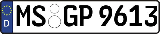 MS-GP9613