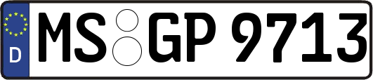 MS-GP9713