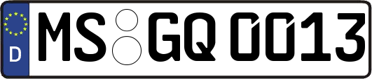 MS-GQ0013