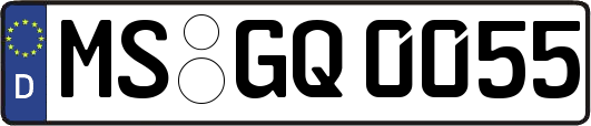 MS-GQ0055