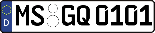 MS-GQ0101