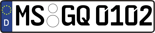 MS-GQ0102