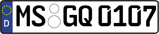 MS-GQ0107