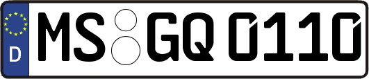 MS-GQ0110