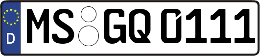 MS-GQ0111