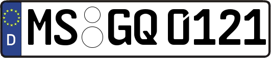 MS-GQ0121