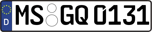 MS-GQ0131
