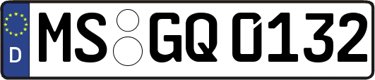 MS-GQ0132