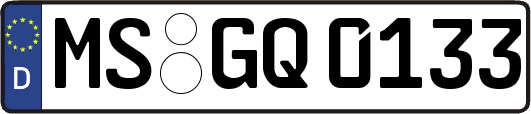 MS-GQ0133