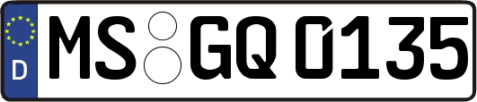 MS-GQ0135