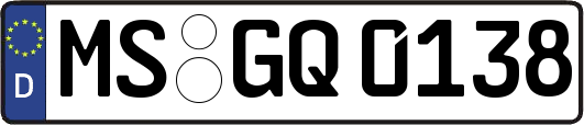 MS-GQ0138