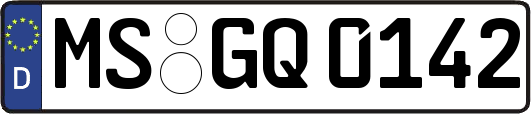 MS-GQ0142