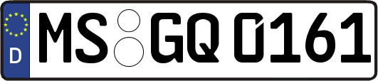 MS-GQ0161