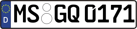 MS-GQ0171