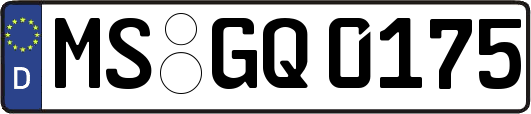 MS-GQ0175