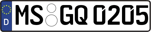 MS-GQ0205