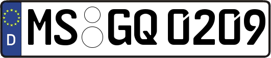 MS-GQ0209