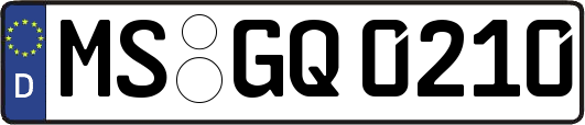 MS-GQ0210