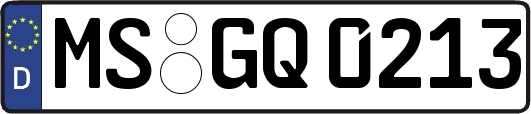 MS-GQ0213