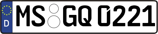 MS-GQ0221