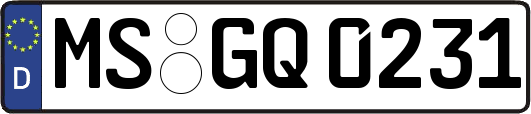 MS-GQ0231