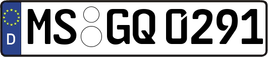 MS-GQ0291