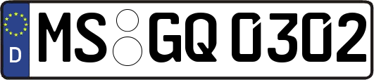 MS-GQ0302