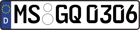MS-GQ0306