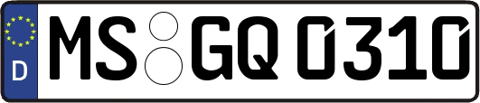 MS-GQ0310