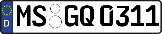 MS-GQ0311