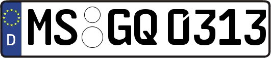 MS-GQ0313
