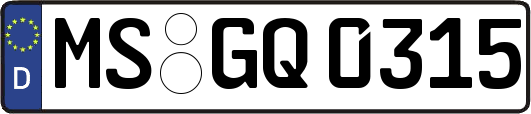 MS-GQ0315